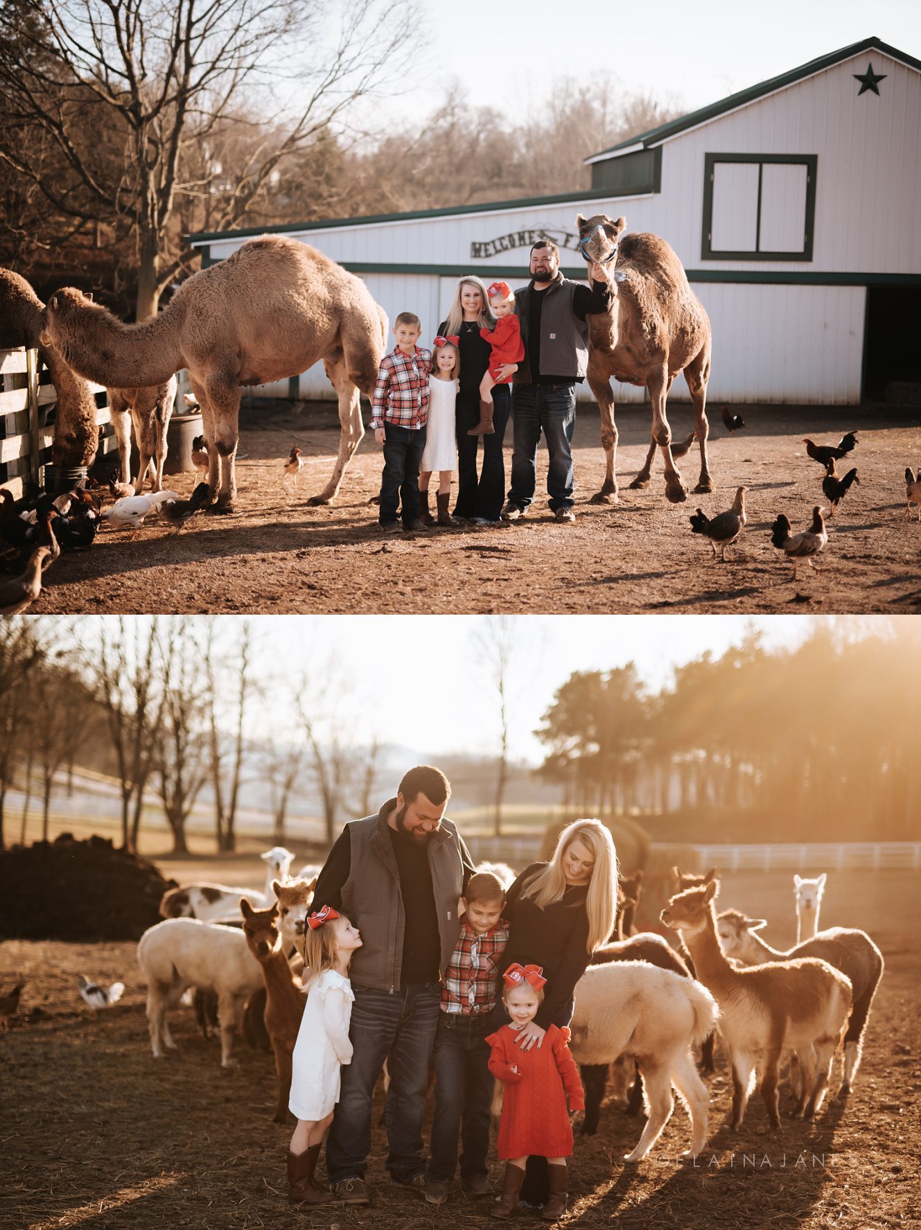 The Boone Family | An Exotic Animal Paradise - Elaina Janes Photography